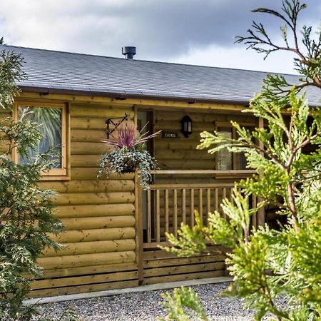 Saint Florence Laurel Lodge - 2 Bedroom Log Cabin - St Florence מראה חיצוני תמונה